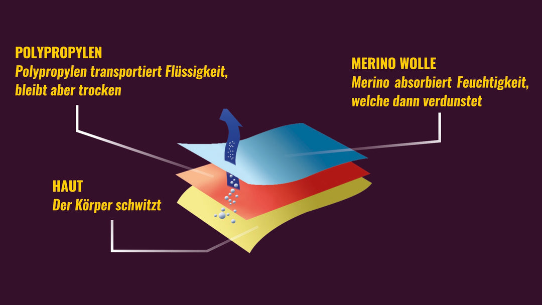 Merino & More 2-Schichten-System